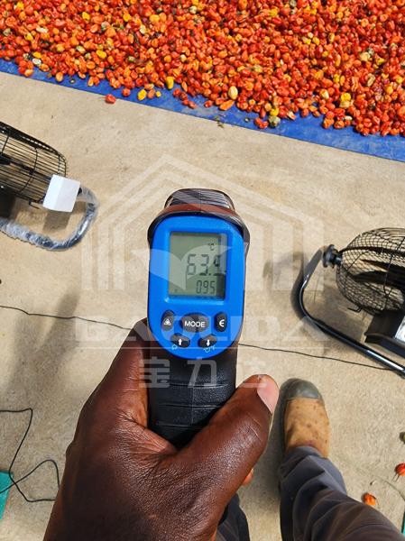 Energy-Efficient Drying Greenhouse with Ventilation for Controlled Vegetable and Herb Drying