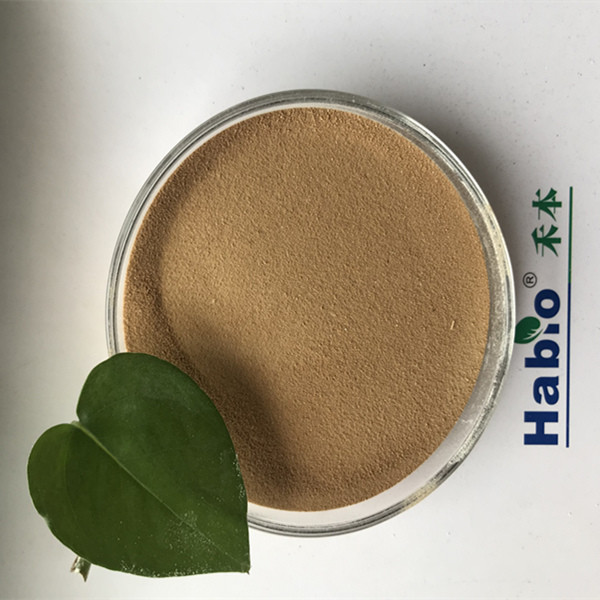 Feed Industrial Grade High Activity Keratinase Animal Digestive Physiological Function