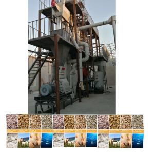 Ligne de production de granulés d'aliments pour animaux de 1 à 12 mm