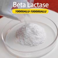 Enzymes digestifs laitiers à base de bêta-lactase 100000ALU Préparation d'enzyme fournisseur d'échantillon Commande minimale 1 kg