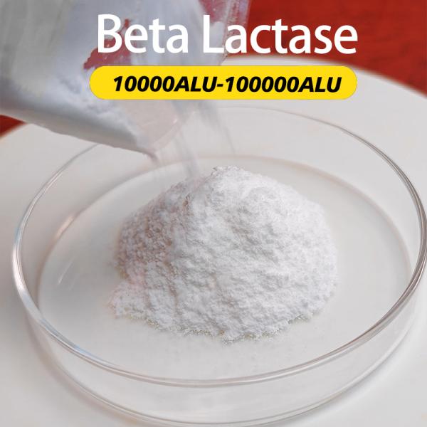 Enzymes digestifs laitiers à base de bêta-lactase 100000ALU Préparation d'enzyme fournisseur d'échantillon Commande minimale 1 kg