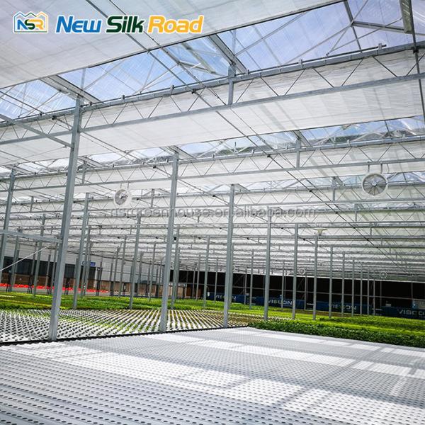 commercial low cost agricultural greenhouse sale hot house greenhouse polycarbonate sheet greenhouse for agro