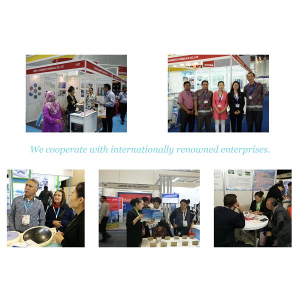 Sap Super Absorbent Polymer Sodium Polyacrylate CAS9003-04-7