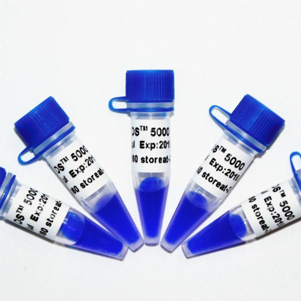 Escada M1111 do marcador do ADN do DS 5000 (50μg) /M1112 (5×50μg)