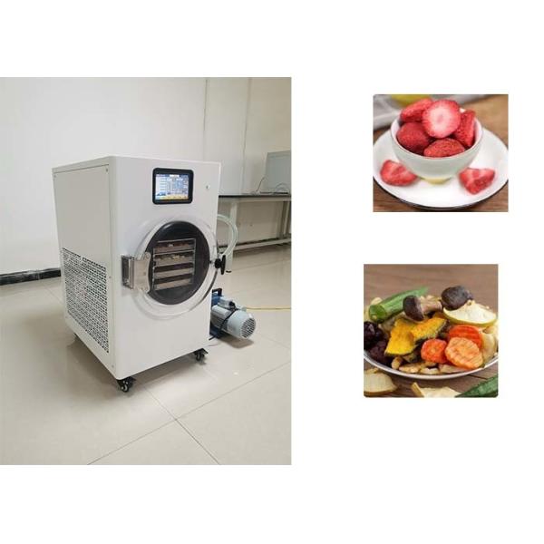 Сохраняйте еду с домашним сушилкой 1600 Вт на рынке