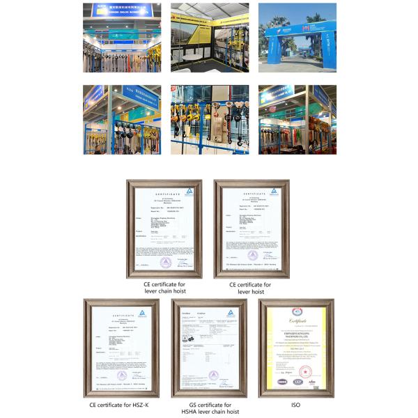 Galvanized Forged Hook 3 Ton Lifting Pulley Block