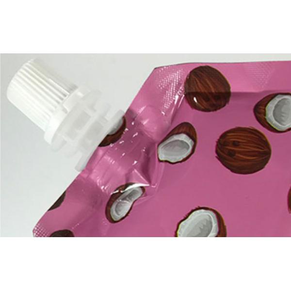 16oz 500ml Suction Nozzle Bag For Shower Gel Packaging Stand Up Spouch Pouch Bags
