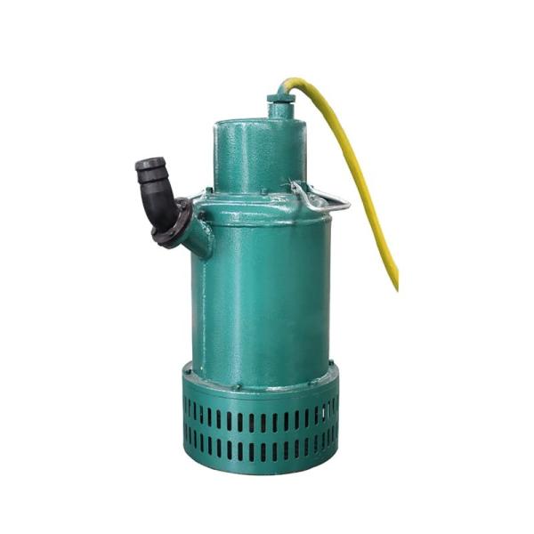 1.5kw-7.5kw Versatile Portable Submersible Pump For Drainage Irrigation  And Emergency Water Extraction