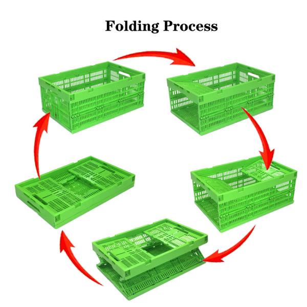 600×400×255 Mm Collapsible Plastic Crate For Fresh Produce – Foldable, Ventilated Storage Box