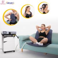 EMTT Pemf Magnetic Mat Physio Magneto Therapy Pmst Loop Machine