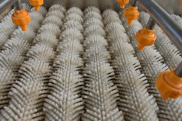 Máquina de limpeza de limpeza de frutas de pêra de 2021 com aço inox 304