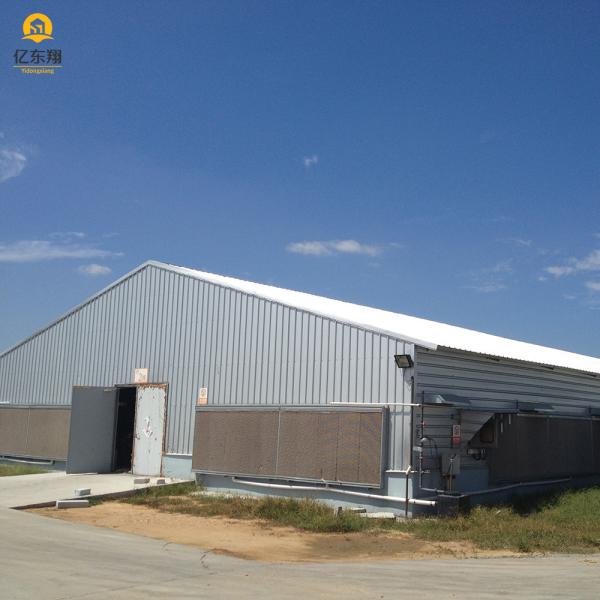 Estructura de acero de granja personalizable Casa de aves Galvanizada para ventilación automática