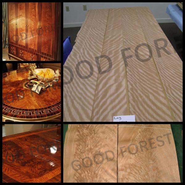 Зерно естественной деревянной облицовки Okoume украшения гостиницы необыкновенное вычисляемое