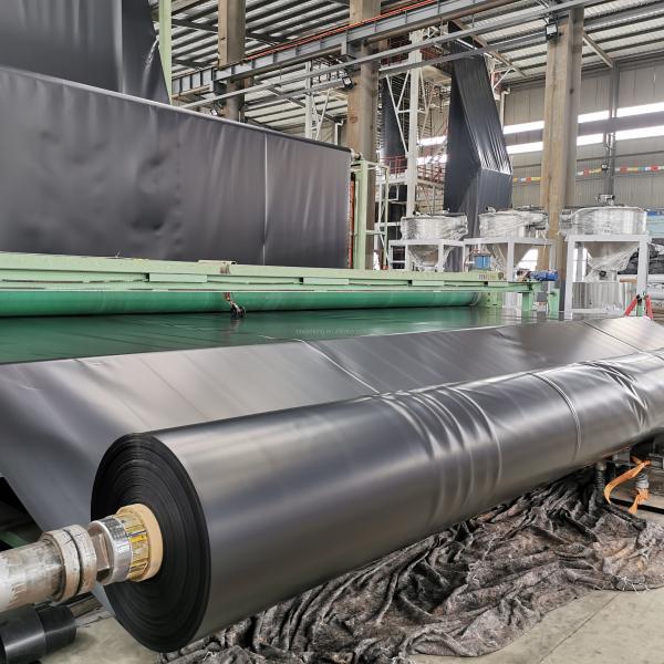 Водонепроницаемая линейка водонепроницаемая рыбная ферма 1,5 мм HDPE геомембрана для китайского стиля дизайна