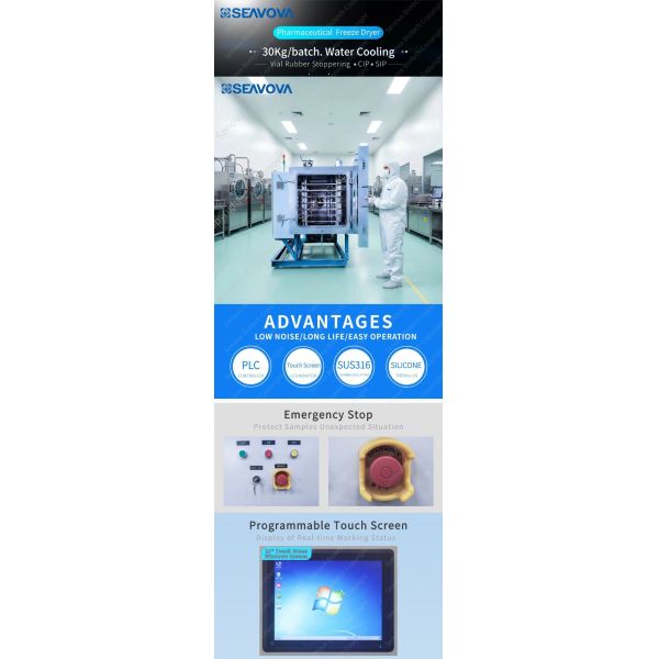 -75C 30Kg Small Pharmaceutical Freeze Dryer Pharmaceutical Lyophilizer