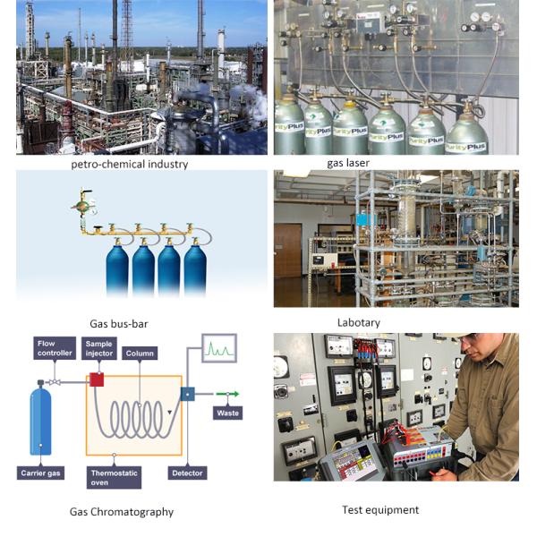 Двойной регулятор давления 3000ПСИ нержавеющей стали этапа оборудованный с шариковым клапаном