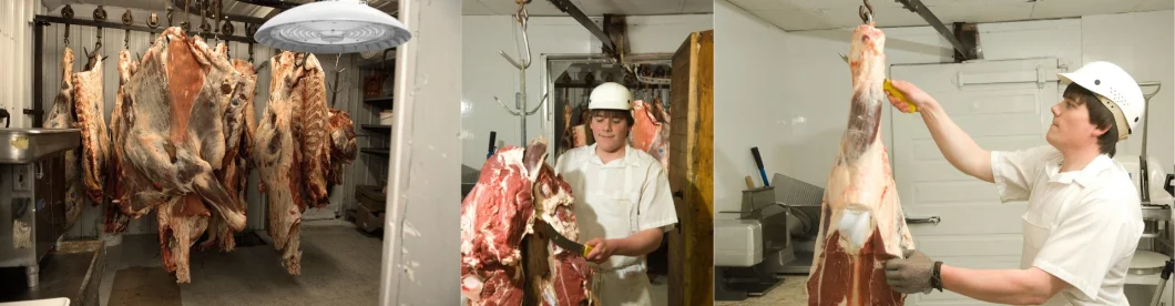 NSF CE UFO LED High Bay Light 200 Вт гладкое тело -противопылевой дизайн Легкая чистка Супермаркет Холодный цепь склад