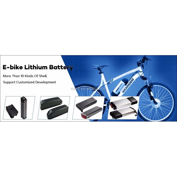 480Wh Lithium Iron Phosphate Battery Pack THLB 24V 20Ah Lifepo4 Battery