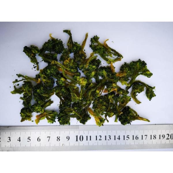 緑色の自然な乾燥されたブロッコリー10*10mm最高の8%の湿気のカートンのパッキング