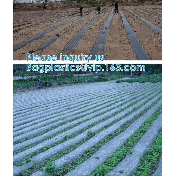 200 Micron Uv Resistant Film Greenhouse Perforated Mulch Agricultural Film Vegetable Planting