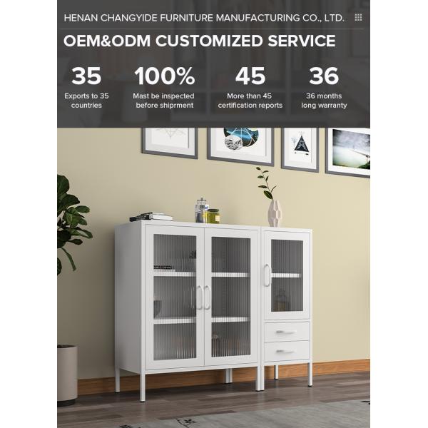 Bedroom Home Office Kitchen Glass Door Removable Shelves Metal Cabinet