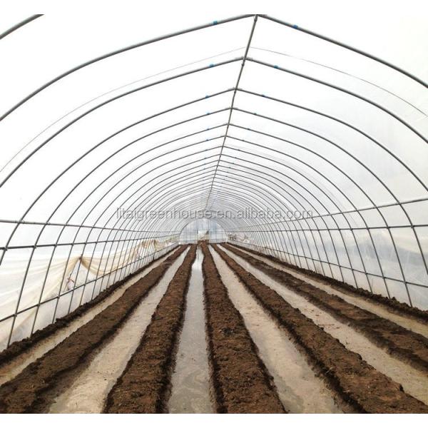 Large Height 3-10m Polytunnel Greenhouse The Ideal Growing Environment for Your Crops