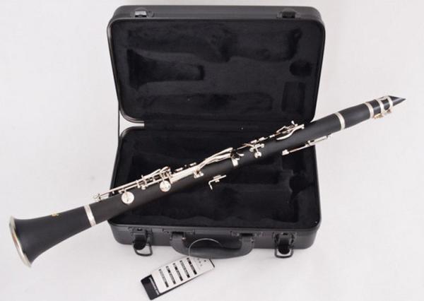 Professional PerformanClarinet Wholesale Woodwind Musical Instrument Clarinet Abs Wooden Body Clarinet For Beginner OEM