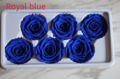 beautiful preserved rose flower A grade stabilized rose preserved long lasting eternal rose 4-5cm