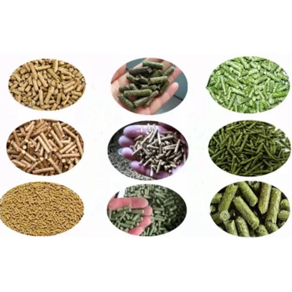 Grain Grass Alfalfa Pellet Making Machine For Cattle Sheep Deer Camel Horse