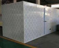 Congelador frío modular comercial del walk-in del trastero/de los pescados y de los mariscos
