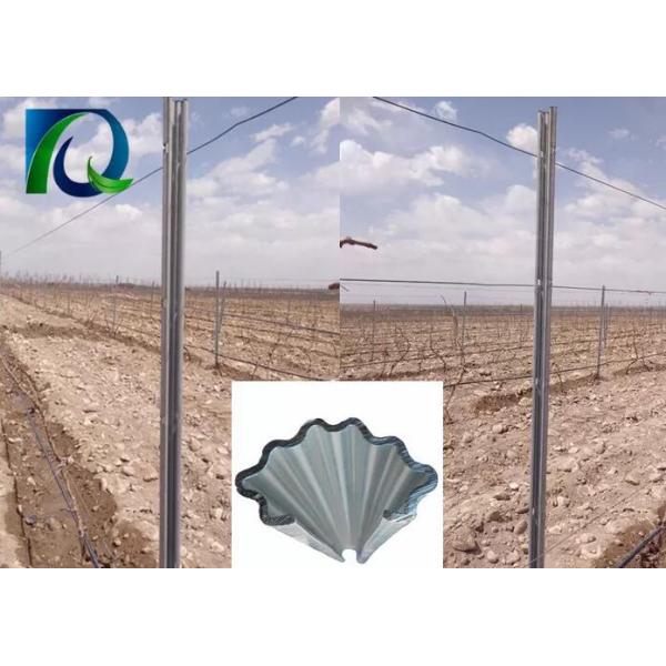 Q235 Steel 1.8mm Metal Plant Stakes For Outdoor Plants