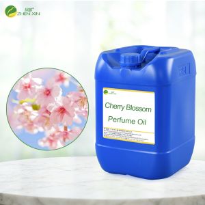 Wholesale Luxury Fragrance Long Lasting Arabic Perfume Oil Fragrance Perfume Oil Brand Private Label Perfume Fragrance