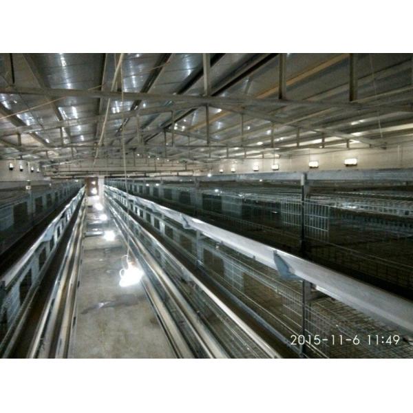 Тип h клетки брудера цыпленока младенца 110 дней полностью автоматический