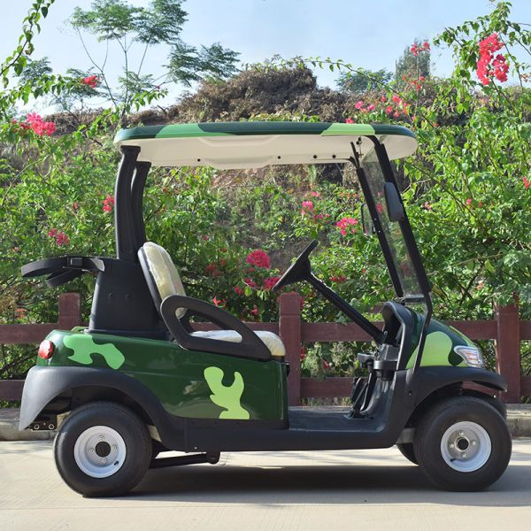Onward 2 Passenger Electric Golf Cart Trojan Battery CE Approved