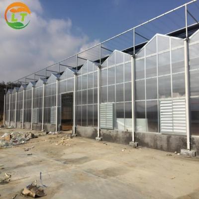 Estufas agrícolas multiespan com painéis solares transparentes de aço galvanizado a quente