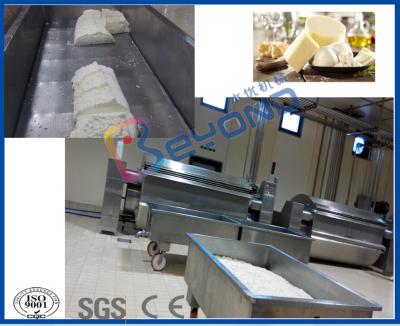 Equipamento da fatura do leite pasteurizado 20000L/D/queijo para o projeto chave da volta
