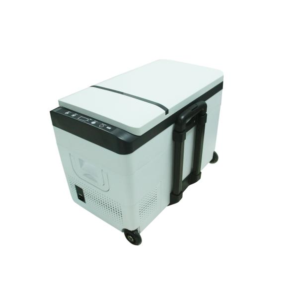 Тип автомобиль вагонетки 30L охлаждая замерзая установил замораживатель