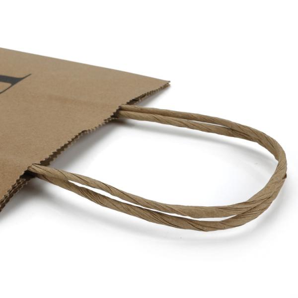 Custom Logo Recyclable Paper Bags Eco Friendly Kraft Paper Bag With Twisted Handle
