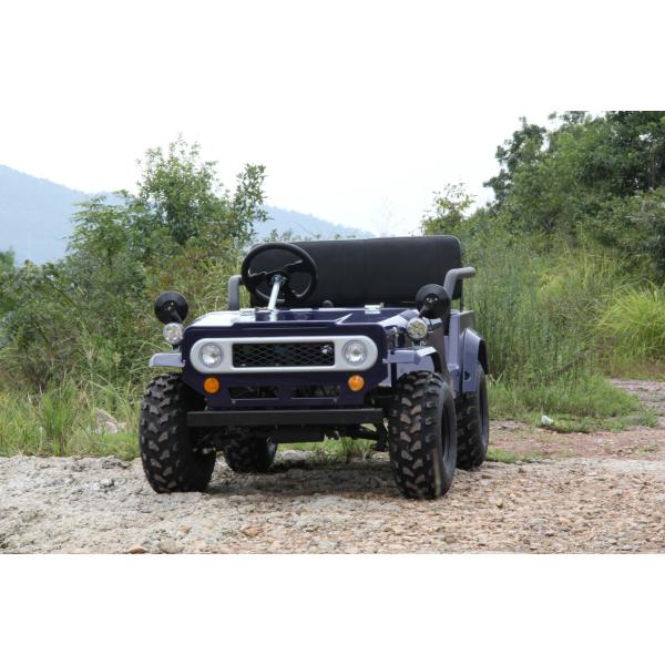 Single Cylinder 150cc Go Kart Buggy Big Oil Tank Automatic Transmission Disc Brake