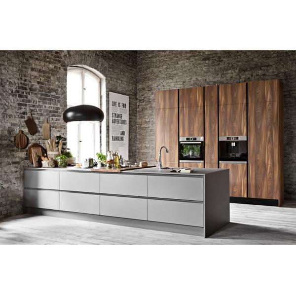 Affordable Wooden Cabinets Kitchen Cabinet Luxury with Veneer and Lacquer Finish