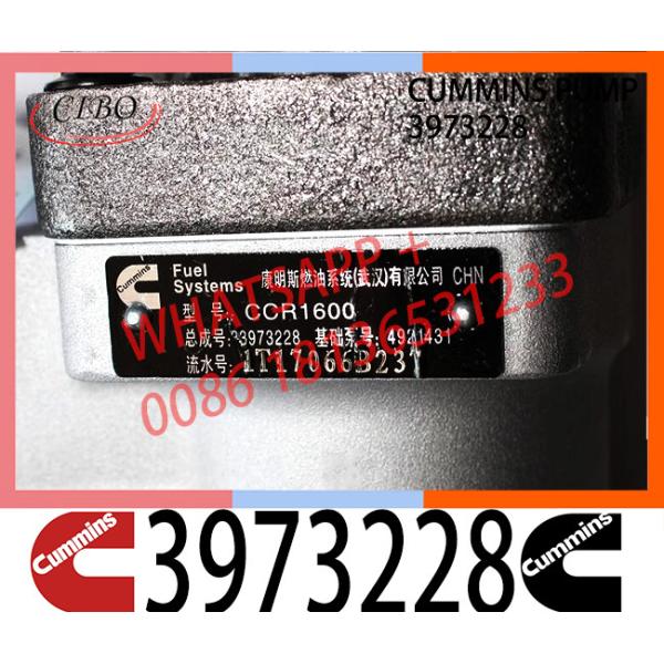 Первоначальный насос 3973228 системы подачи топлива двигателя тележки вторичного рынка для двигателя дизеля ОСТРОВА QSL