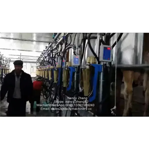 Flow Milk Meter Herringbone Milking Parlor System with ACR Automatic Cluster Remover and Waikato Milk Meter for Cows