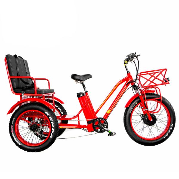 Front Hub Motor 750W 21AH Lithium Electric Tricycle for 2 People 24 Snow Tire 40KM/H