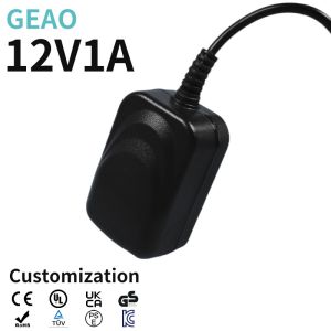 L'OEM/ODM d'alimentation d'énergie de bâti de mur de Lite 12V 1A de commutateur a adapté aux besoins du client