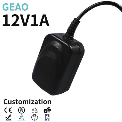 Switch Lite 12V 1A Wall Mount Power Supply OEM / ODM Customized