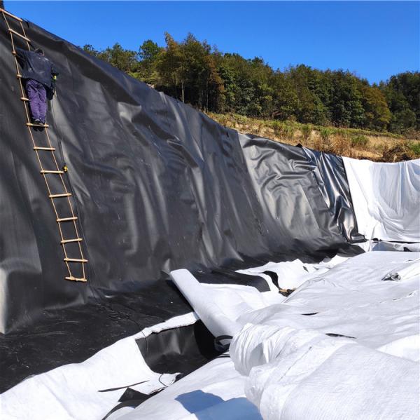 Outdoor Double Smooth Geomembrane for Fish Pond Liner and Landfill Sites Directly Sold