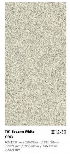Carreaux de revêtement de sol antidérapant gris blanc pour la cour extérieure et le balcon 600x900x30 mm