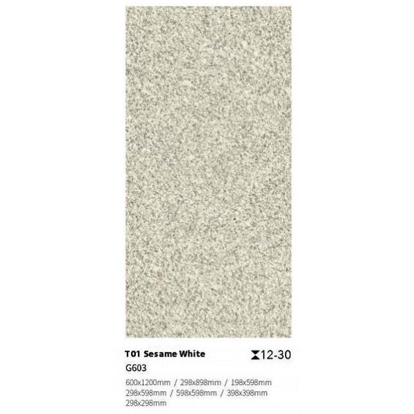 Carreaux de sol en argile antidérapants 300x300mm 600x1200mm Pierre d'extérieur