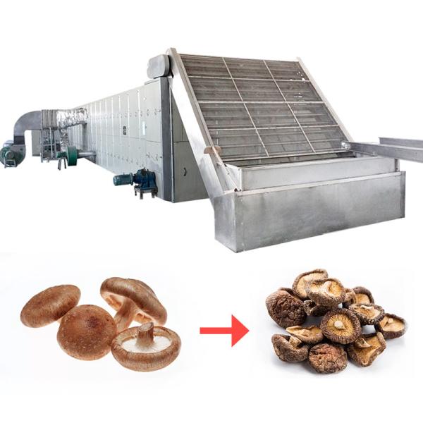 Personalized Customization Mesh Belt Drying Equipment Reuse And Recycling