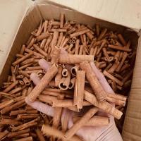 Palhinhas de canela de Ceilão de qualidade superior para especiarias e ervas